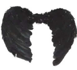 Ali con piume nere 50 cm. Per Halloween