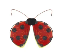 Ali di coccinella rosse e nere