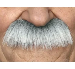 Baffi dai capelli bianchi bruscamente del sergente militare