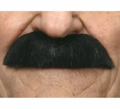 Baffi di guardia nera