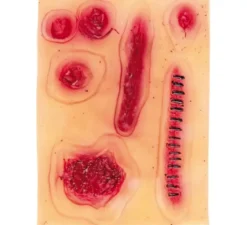 Blister con 6 cicatrici in lattice