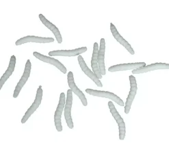 Blister da 20 Vermi Elastici 4 cm