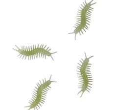 Confezione da 8 centopiedi fosforescenti da 6 cm