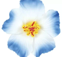 Confezione da 3 fiori hawaiani