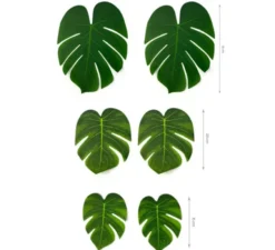 Confezione da 6 foglie di felce hawaiana in tre diverse dimensioni