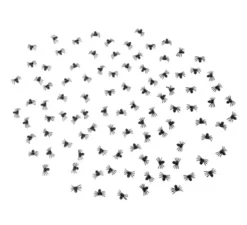 Confezione da 100 Ragni da 1,5x2 cm