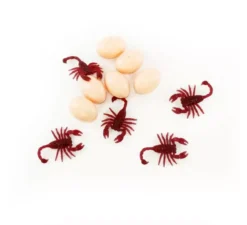 Confezione da 12 Scorpioni con 6 Uova