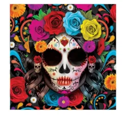 Confezione da 12 tovaglioli colorati Catrina da 33x33 cm