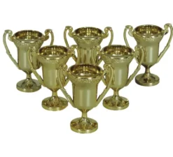 Confezione da 6 Trofei 6 cm Bicchieri da shot medievali