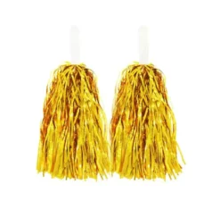 Coppia di Pompon Brillanti con Manico in diversi colori