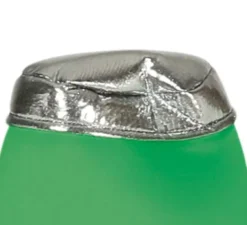 Costume da bottiglia di birra verde per adulto