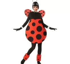 Costume da coccinella paffuta con ali per donna