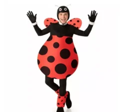 Costume da coccinella paffuta con ali per uomo