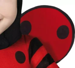 Costume da coccinella per bambino