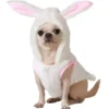 Costume da coniglio bianco per cani
