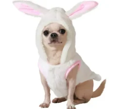Costume da coniglio bianco per cani