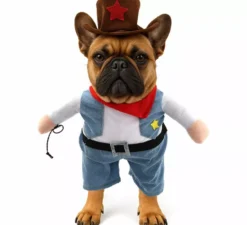 Costume da cowboy per cane