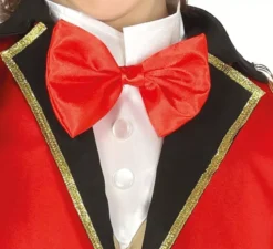 Costume da Direttore di circo per bambino