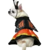 Costume da farfalla per cani