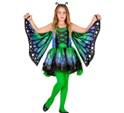 Costume da farfalla verde con ali per bambina