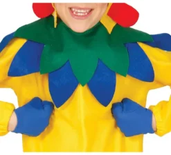 Costume da gallo