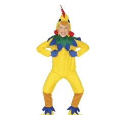 Costume da gallo