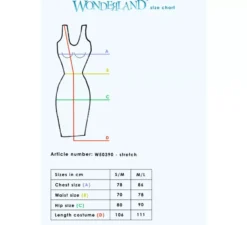 Costume da principessa indiana per donna