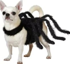 Costume da ragno tarantola peloso per cani