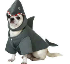 Costume da squalo per cani