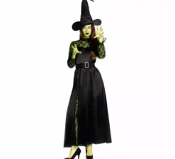 Costume da Strega Cattiva dell'Est per Donna