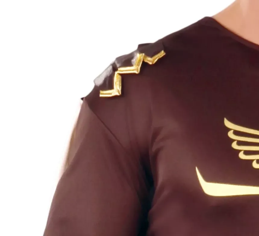 Costume gladius marrone per un uomo