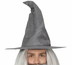 costume Mago grigio per gli uomini