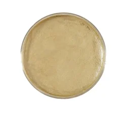 Crema trucco 25g in vari colori