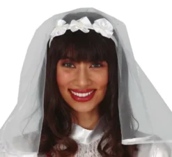 Diadem con il velo bianco