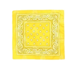 Foulard con motivo Paisley da 54x54 cm in diversi colori