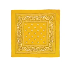 Foulard con motivo Paisley da 54x54 cm in diversi colori