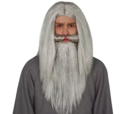 Mago parrucca di capelli e la barba grigia