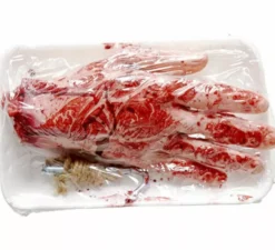 Mano mutilata insanguinata su un piatto