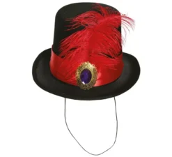 mini cappello superiore con la penna rossa