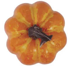 Pack 2 zucche 10 cm