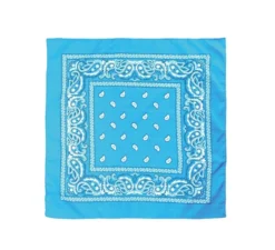 Paisley turchese 54x54 cm