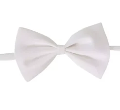 Papillon bianco