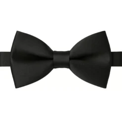 Papillon nero