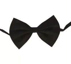 Papillon nero