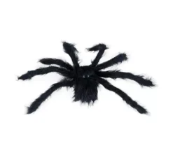 Ragno peloso nero di 50 cm