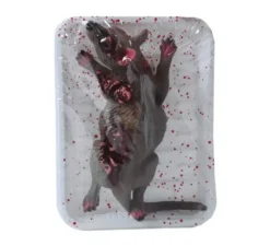 Ratto vassoio 19x12 cm