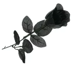 Rosa nera 42 cm