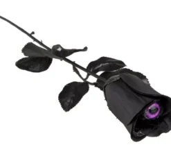 Rosa nera con occhio viola