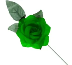 Rosa Sevillana o Chulapa verde con asta da 8 cm