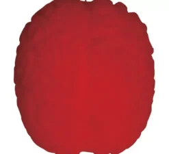 Scatola da 12 Cervelli Elastici 8 cm